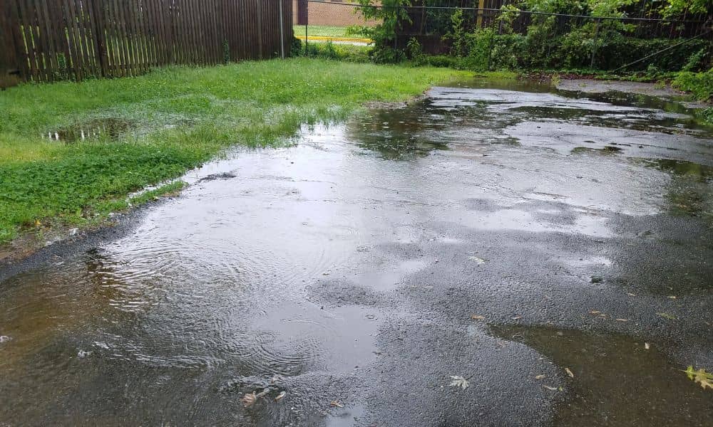 Water pooling on a sloped backyard after rain, a common drainage issue identified through topographic mapping