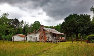Lot survey rural homesite planning - ALTA Survey Alabama Rural homesite with a house, open grassy yard, and surrounding trees for lot survey planning